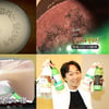 TV 막걸리에 빠졌다..방송3사 막걸리 특집 '붐'