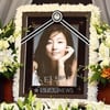 불법양심, 故장진영 작품까지? 불법파일차트 2위