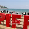 [중간결산]PIFF, 스타보다 영화에 초점 맞추다①