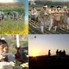 '무도' 벼농사 특집, 재미+의미 모두 잡았다