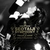 '서태지심포니', 평점 1위 "10점 만점에 9점"