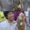 '커피하우스' 고양이 학대장면, 도대체 뭐길래?