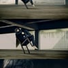 강동원, 입소전 찍은 커피CF본편 공개..긴머리 굿!
