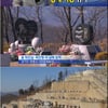 故최진실·최진영 묘 강제이전 위기… 유족 '날벼락'
