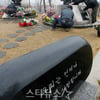 [★포토]강제이장 논란중인 故 최진실·진영 묘지