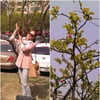 유진, 꽃 핀 '김탁구 나무' 앞에서 '기념 샷'