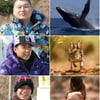엄태웅=日원숭이,강호동=혹등고래