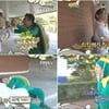 '무도' 별주부전, 재미+시청률 '쌍글이'..土시청률 1위