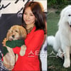 '국민犬' 순심이와 상근이, 설연휴에 뭐할까