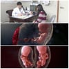 3D 다큐 '태아', 11.5%로 金夜 1위..'댄싱스타2' 제쳐
