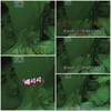 '열애의혹' 김종민 "'그분', 절대 공개 안할 것" 