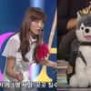 신보라 "건방진 브라우니, 한방에 간 상근이 기억하라"