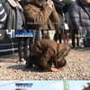 이특, 입대前 멤버들에 "팀 인기 떨어지면 안 된다"