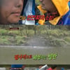 폭우 촬영중단 '정글의 법칙' 시청률↑..金夜 1위