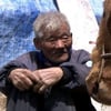'워낭소리' 할아버지 별세..'누렁이' 곁에 잠든다