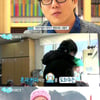 '섬마을쌤' 아비가일 "성시경 같은 남자친구 최고"