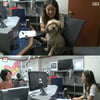 이효리 "장필순, 고교선배..술 먹고 함께 교가 불러"