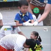 한 경기당 우는아이 한명..'아빠 어디가'의 즐거운 운동회