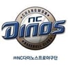NC, 30일 선수단 참여하는 팬미팅 실시