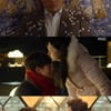 종영 '미스터백' 신하균, 다시 젊어졌다..크리스마스의 기적(종합)