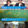 EBS, 2015 봄 개편 단행..새 프로그램 풍성 