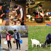 '삼시세끼' 정선편, 달라진 이서진을 기대해도 좋다