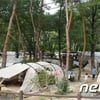 국립공원야영장, 예약제로만 운영..예약은 어떻게?