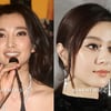 中배우 리빙빙, 판빙빙과 불화설 해명 "전부 루머"