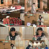 '1박 2일' 김주혁 하차..모닝엔젤 됐다