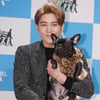 '개밥남' 강인 "반려견 춘향이, 신민아·전지현 급으로 예뻐"