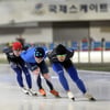 태릉국제스케이트장, 시설 정비 위해 임시 휴장