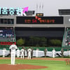 SK, 21~23일 '호국보훈의 날' 등 다양한 이벤트