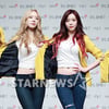 '9월말 미니10집' 달샤벳, 신사동호랭이곡 타이틀..2년8개월만 재회
