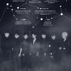 인피니트, 미니6집 트랙리스트 공개..타이틀곡은 '태풍' 
