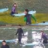 '마리텔' 정재형, 우주소녀 성소에 본격 서핑 지도