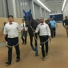 [경마]95년만, 두바이 월드컵 ‘메인스테이’ 우승