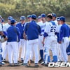 WBC대표팀, 23일 귀국..24일부터 고척돔 훈련 돌입