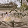 문화재청 "예정화 매화 훼손, 진짜 나뭇가지면 법에 저촉"(공식)