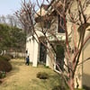 박근혜 내곡동 자택 직전 거주 신소미 "우리의 마지막"