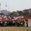 매일 베이비문, 숲으로의 만월여행 준비 