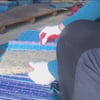'먹거리X파일', 뱅어 없는 뱅어포의 속사정