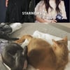 설리고양이? 최자, 설리와 재결합 직접 해명.."우리집 식구"