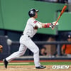 KBO, 롯데에 손아섭 타구 오독 인정..도둑맞은 홈런