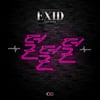 EXID 컴백 타이틀곡 제목은 '덜덜덜' "성숙미 선사"