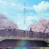 '너의 췌장을 먹고 싶어', 14만 관객 돌파