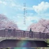 '너의 췌장을 먹고 싶어', 올 다양성 극영화 1위 등극
