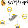 [평창] 강릉 21개 읍면동 주민 2000명이 함께하는 '합동 도배례'