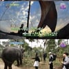 [★밤TView]'오지의마법사' 전통부터 자연까지..제대로 즐기는 스리랑카