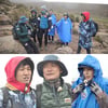 '정글', 金夜 예능 시청률 전체 1위..'나혼자' 2위