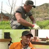 '나물캐는' 추성훈 "사랑이에게 쑥부쟁이 요리 해주고파"(일문일답)